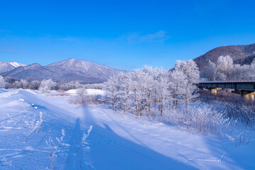 北海道冬の風景　富良野市の樹氷