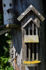 A weathered little house for insects hangs on a tree trunk in nature