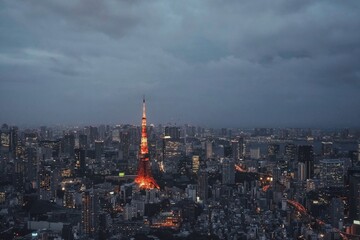 aerial view of Tokyo