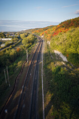 Fototapeta na wymiar View from the top to the railway. Colorful forest along the road. Gold autumn. Vertical frame.