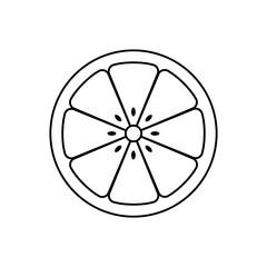 Orange icon. Lemon icon. Flat vector illustration.
