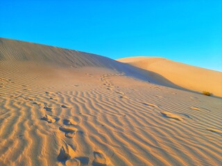 Sahara desert of Algeria