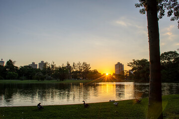 Fototapeta premium sunset 
