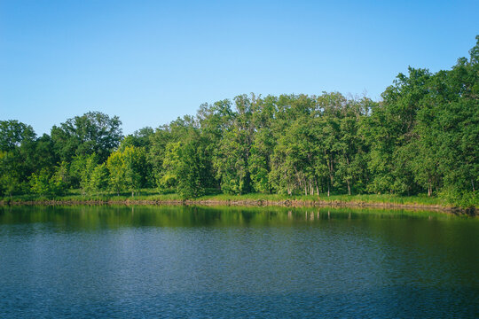 Calm forest lake on a quiet Sunny day. Summer landscape. Soft focus