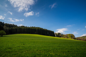 Germany, Beautiful green meadow and trees at the edge of the forest of black forest nature landscape with moving clouds