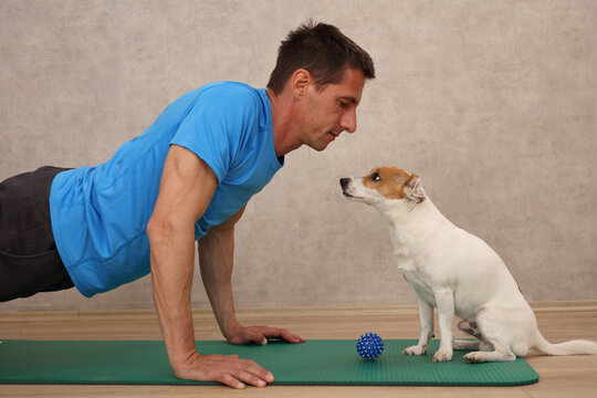 Home Workout And Attention Seeking Dog. Man Training Exercise At Home, Dog Wants To Play