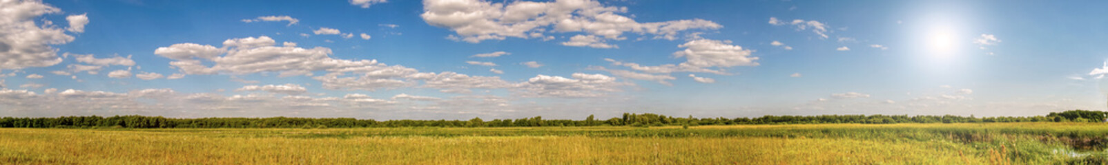 Panorama of a summer meadow against a blue sky with clouds in the sunlight. Summer landscape