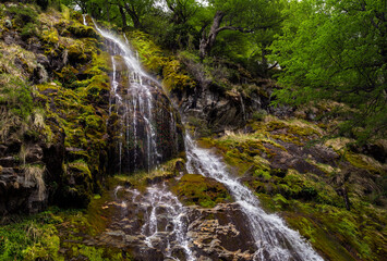 Fototapeta na wymiar Small waterfall in the forest. El Chalten, Santa Cruz, Argentina