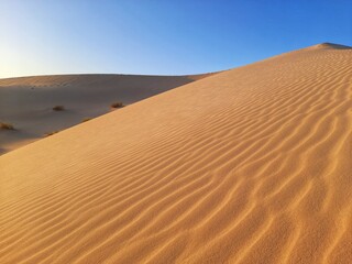 Sahara desert of Algeria