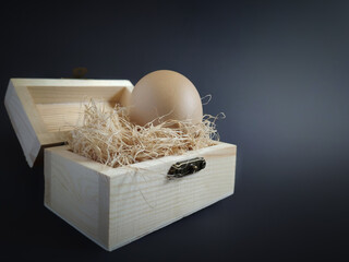 Photo of an egg inside nest in dark vintage background
