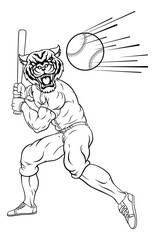 Fototapeta premium A tiger baseball player cartoon animal mascot swinging a bat at a fast ball