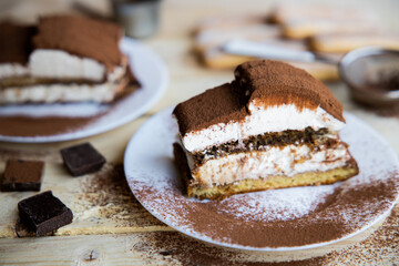 Tiramisu. Traditional italian dessert on wooden background. coffee break