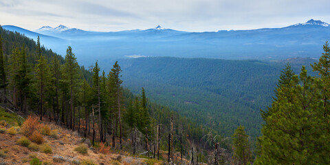 Fototapeta na wymiar Mountain autumn panoramic view from Green Ridge in central Oregon.