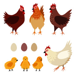 Vector chicken family (hens with chicks and eggs). Set of poultry clip art isolated on white background