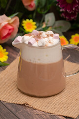 Fototapeta na wymiar Hot chocolate with marshmallows