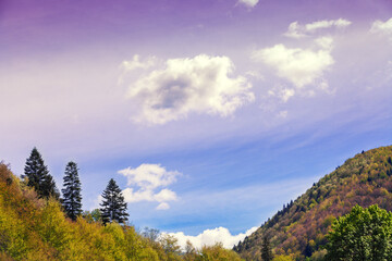 Silhouette of mountains on sky background on a sunny day. Beautiful nature landscape. Europe, Carpathian mountains