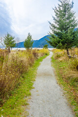 Fragment of Furry Creek trail in Whistler, Vancouver, Canada.