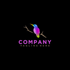 Colorful bird logo in abstract
