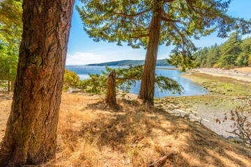 Majestic mountain lake in Canada. Drumbeg Park Lake Trail View.
