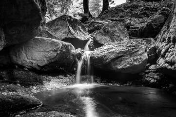 Chefna torrent