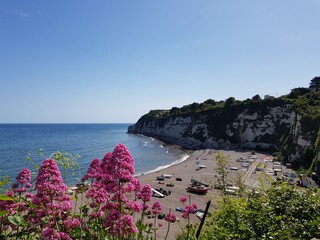 Beer beach in Beer, United Kingdom