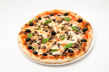 pizza with cheese, mushrooms and black olives