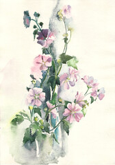 pink mallow flowers. Garden flowers. Botanical illustration.
Painting with watercolor flowers, hand painted. Handwork.
