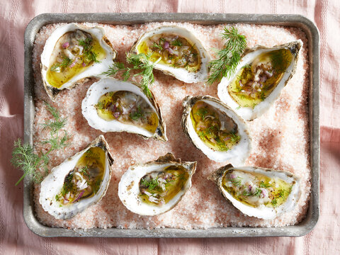 Overhead view of oysters in their shells with dill and dressing on a tray of pink rock salt.