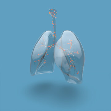 Illustration of human lungs and bronchial tree highlighted, on blue background