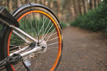 Close-up bicycle wheel on a forest path, active lifestyle, outdoor sports