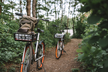 Two bicycle on a forest path, active lifestyle, outdoor sports