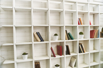 White wooden shelves with old books. Wooden bookcase. Book library. Cactus on a bookshelf