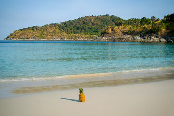 Tropical Andamand sea beach at Phuket, Thailand. Island look like turtle. South of Thailand with a relax atmosphere and beautiful beach where suitable for travel and enjoy holiday trip.