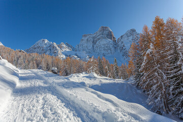 Snowy path with orange larches and Mount Pelmo northern side in the background, Dolomites, Italy. Concept: winter landscapes, Christmas atmosphere, winter travel, calm and serenity