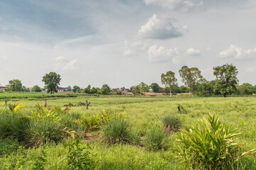 Fototapeta na wymiar Farming landscape, at the province of Nakhon Ratchasima