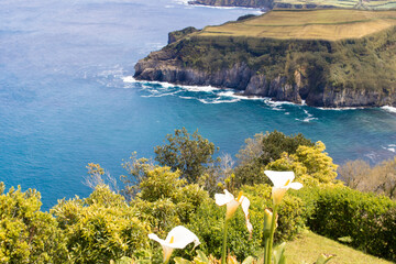 Sao Miguel, Azoren - felsige Küstenlandschaft mit Brandung