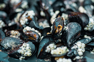 background of cooked sea mussels
