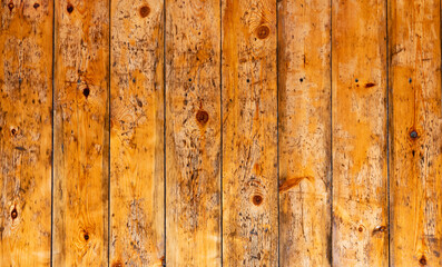 old wooden background with perspective vertical tree