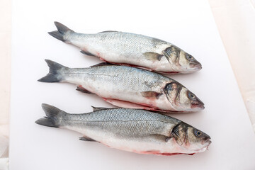 Sea bass with white background