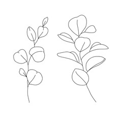 Eucalyptus illustration on white background. Eucalyptus set. Eucalyptus Wedding invitation	