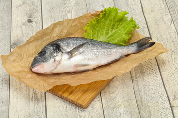 Raw Dorada fish  for cooking