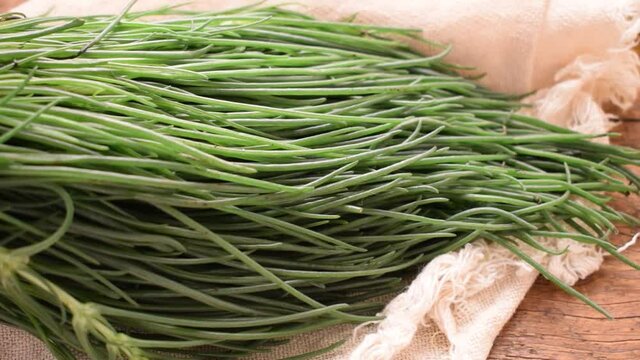 Salsola soda ft0203_0026 Barba di frate Agretti 苏打猪毛菜