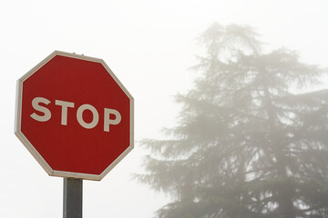 Stop traffic sign, in the background a tree with fog. Mystery concept.