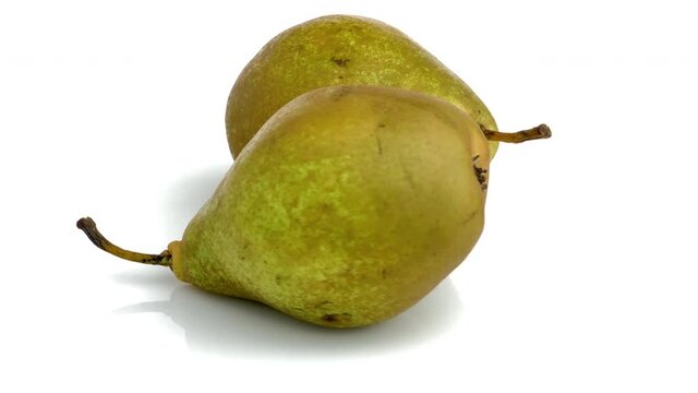bosc pear on white background