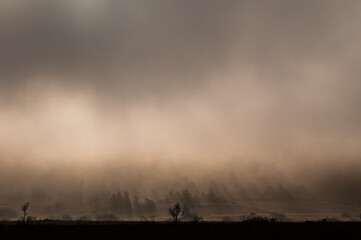 湿原の朝霧