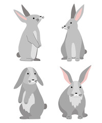Set of 4 grey rabbits (bunnies). Vector illustration isolated on white background