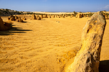 Pinnacles sand desert Western Australia