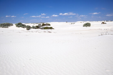 Fototapeta na wymiar white dune sand scenery western Australia