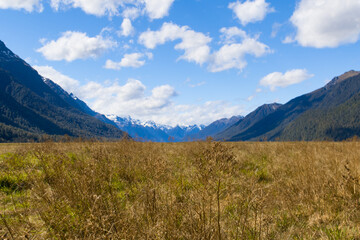 Feld auf dem Weg zum Milford Sound - Herr der Ringe Drehort