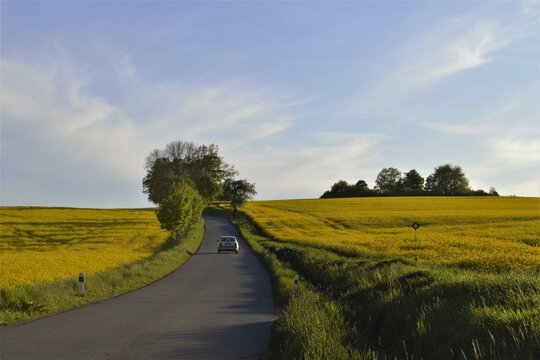 Repack field road